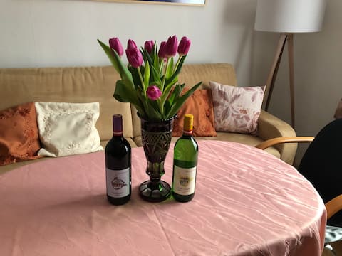Popular Airbnb listing: Summer promotion: Beautiful condominium in Ottakring