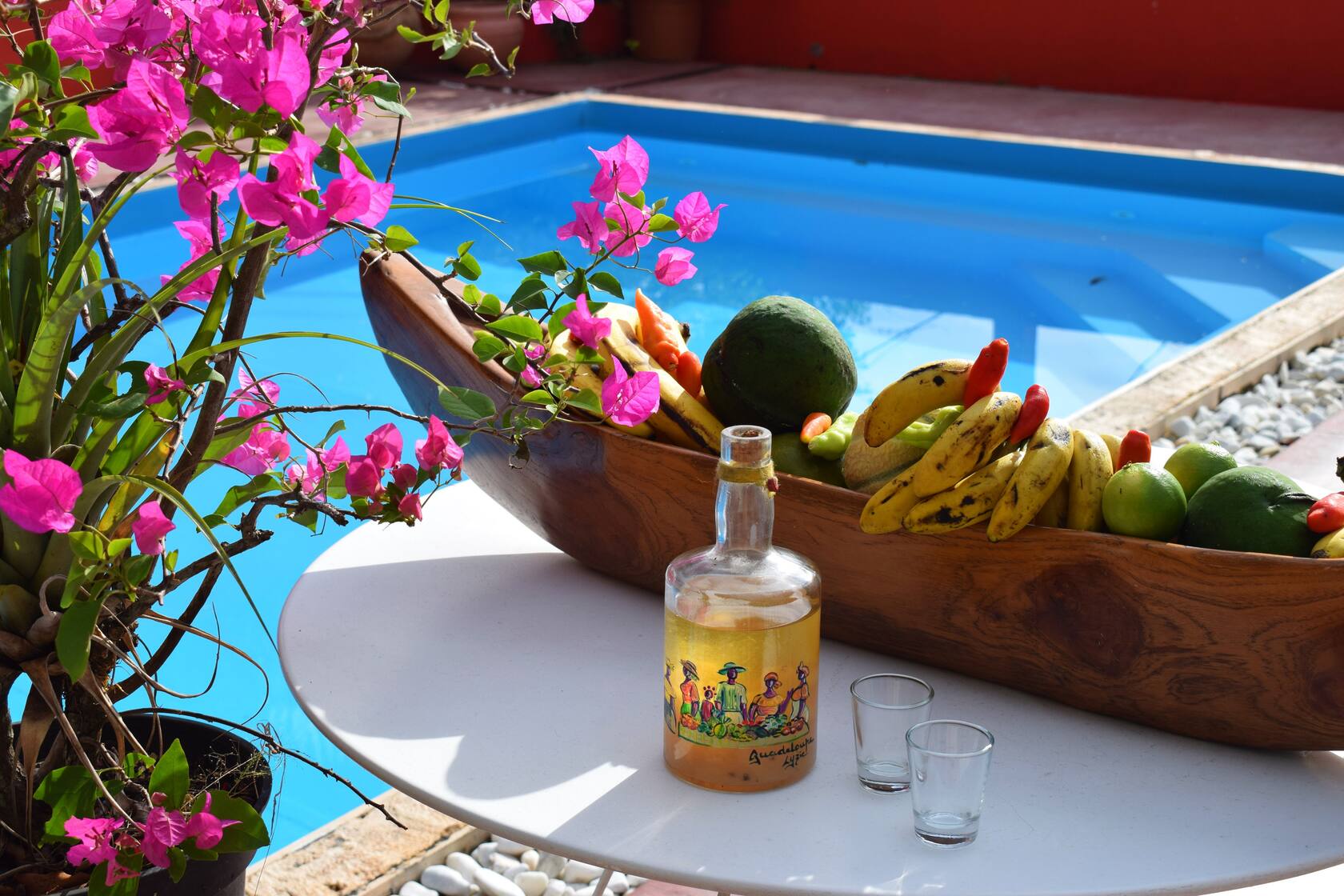 Piscine privée et jardin tropical pour tournages et shootings