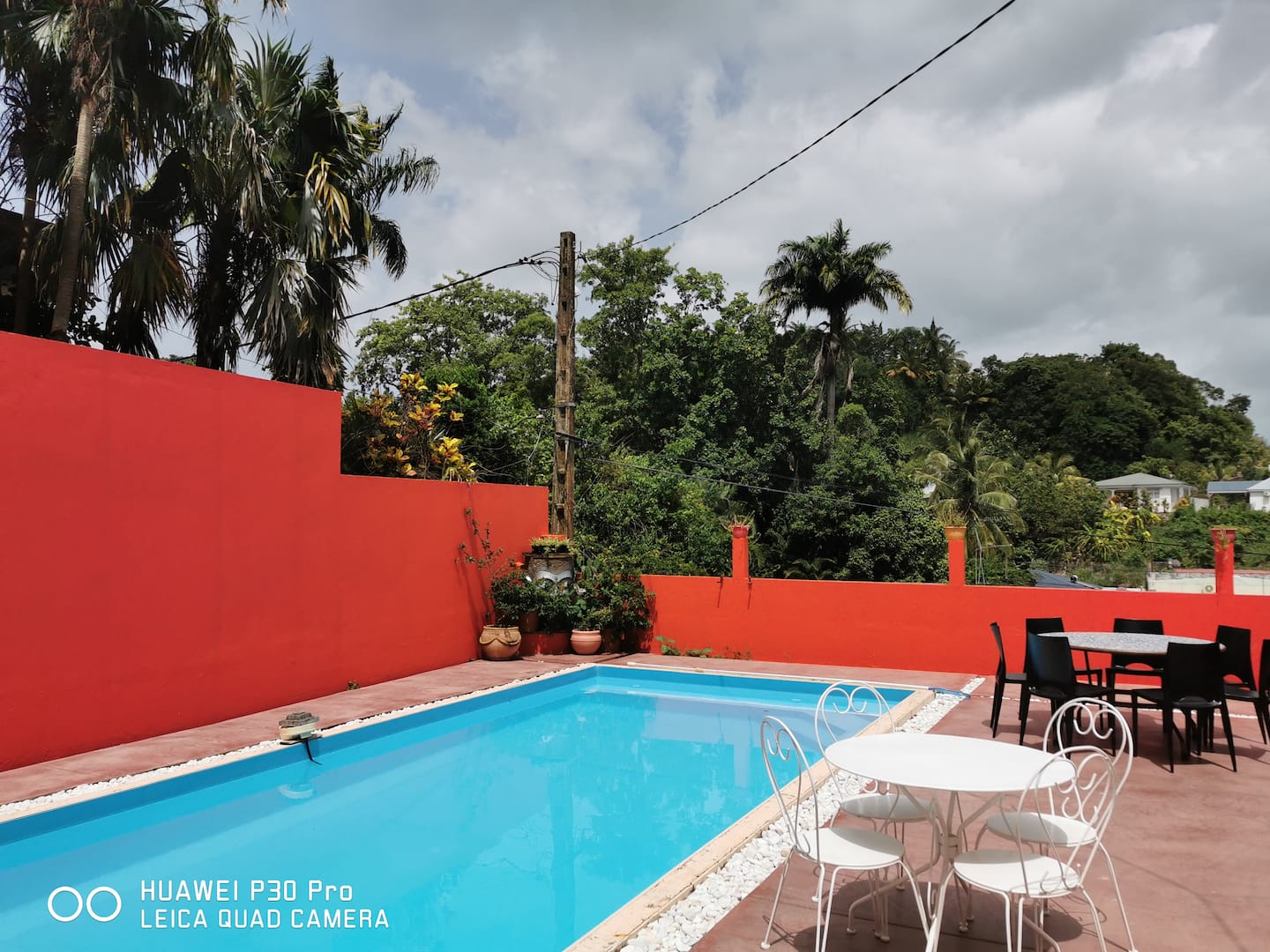 Piscine au sel privative et végétation tropicale