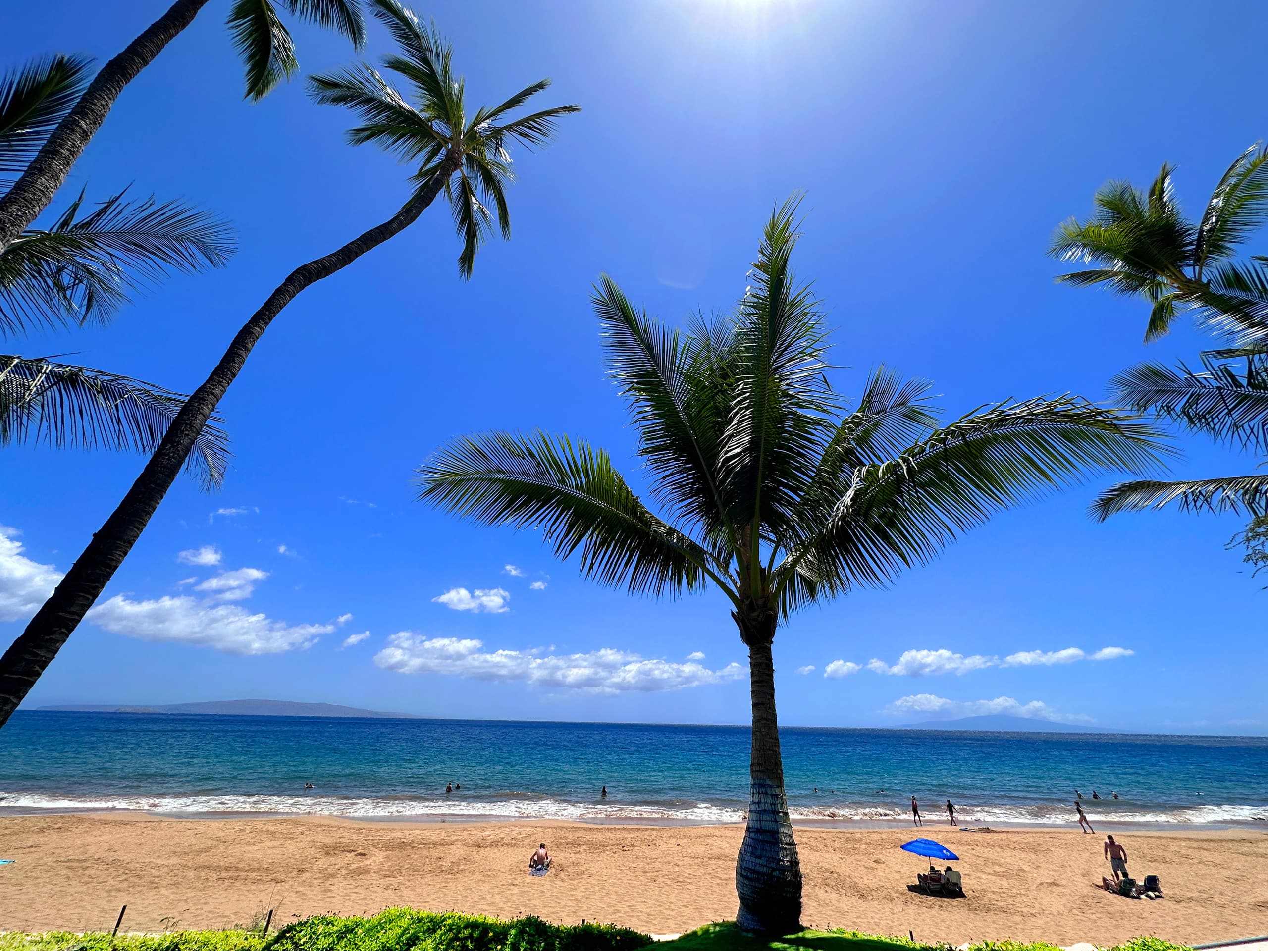 Condo in Kihei · ★4.87 · 1 bedroom · 2 beds · 1 bath - Image 16
