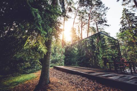 Relaxing Forest Getaway: Mirror House + Sauna