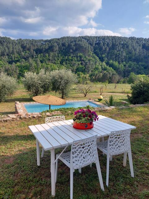 House in the middle of the vineyards with a pool