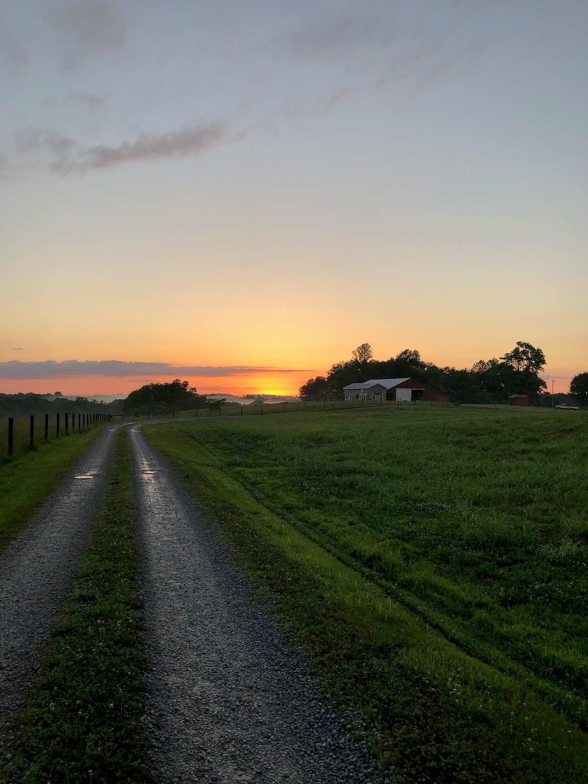 A gravel driveway leads toward a farmstead, flanked by lush green fields. The sky is painted in warm hues of orange and pink as the sun sets in the background, creating a serene atmosphere. Fence lines guide the view, enhancing the sense of open space.