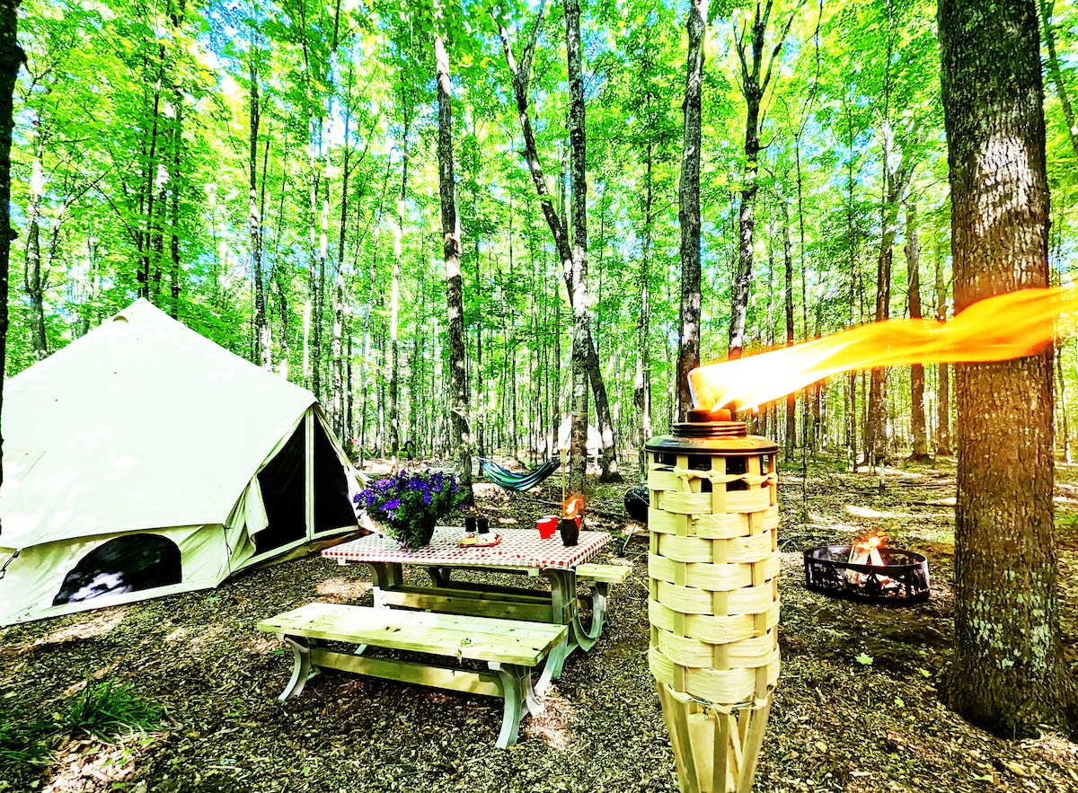 A glamping site features a spacious tent surrounded by lush greenery. A picnic table is set with colorful outdoor decor, while a firepit and torches add ambiance. Nearby, a hammock invites relaxation amid the trees, enhancing the serene forest setting.