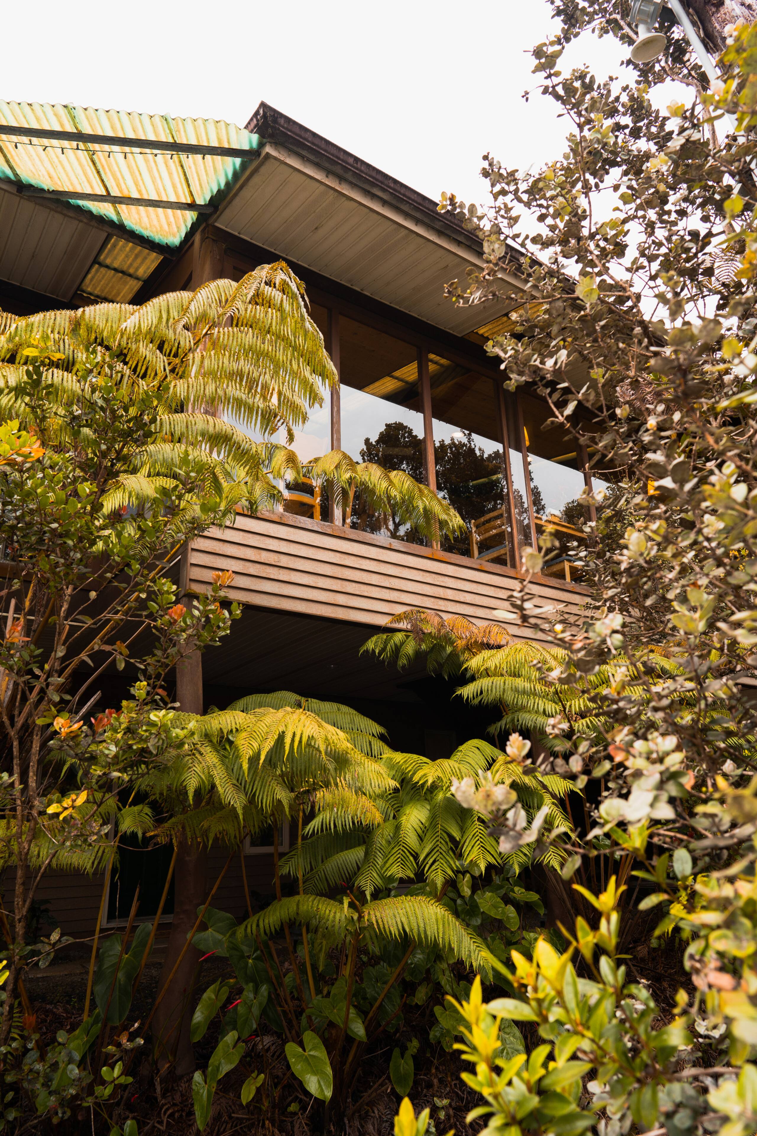 Guesthouse in Volcano · ★4.6 · 1 bedroom · 2 beds · 1 private bath - Image 7