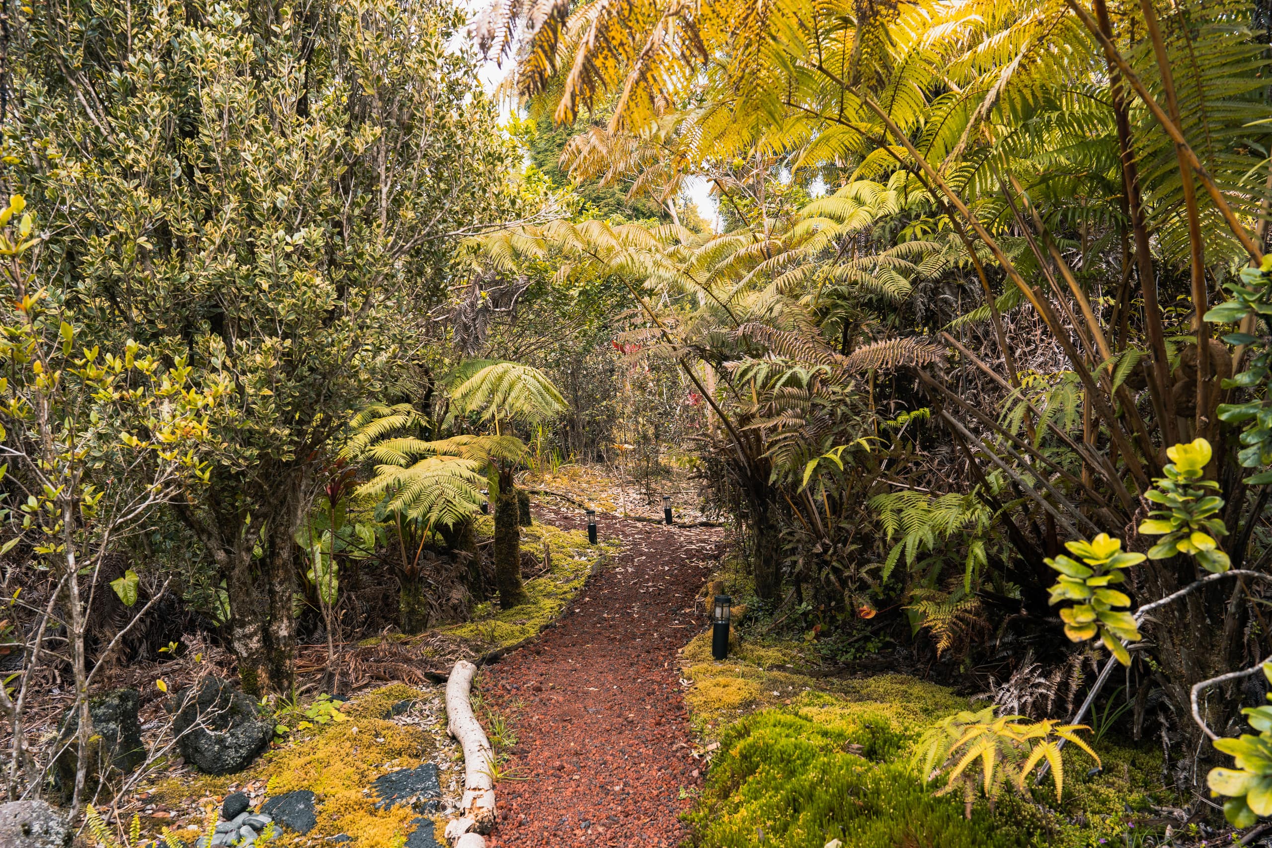 Guesthouse in Volcano · ★4.6 · 1 bedroom · 2 beds · 1 private bath - Image 10