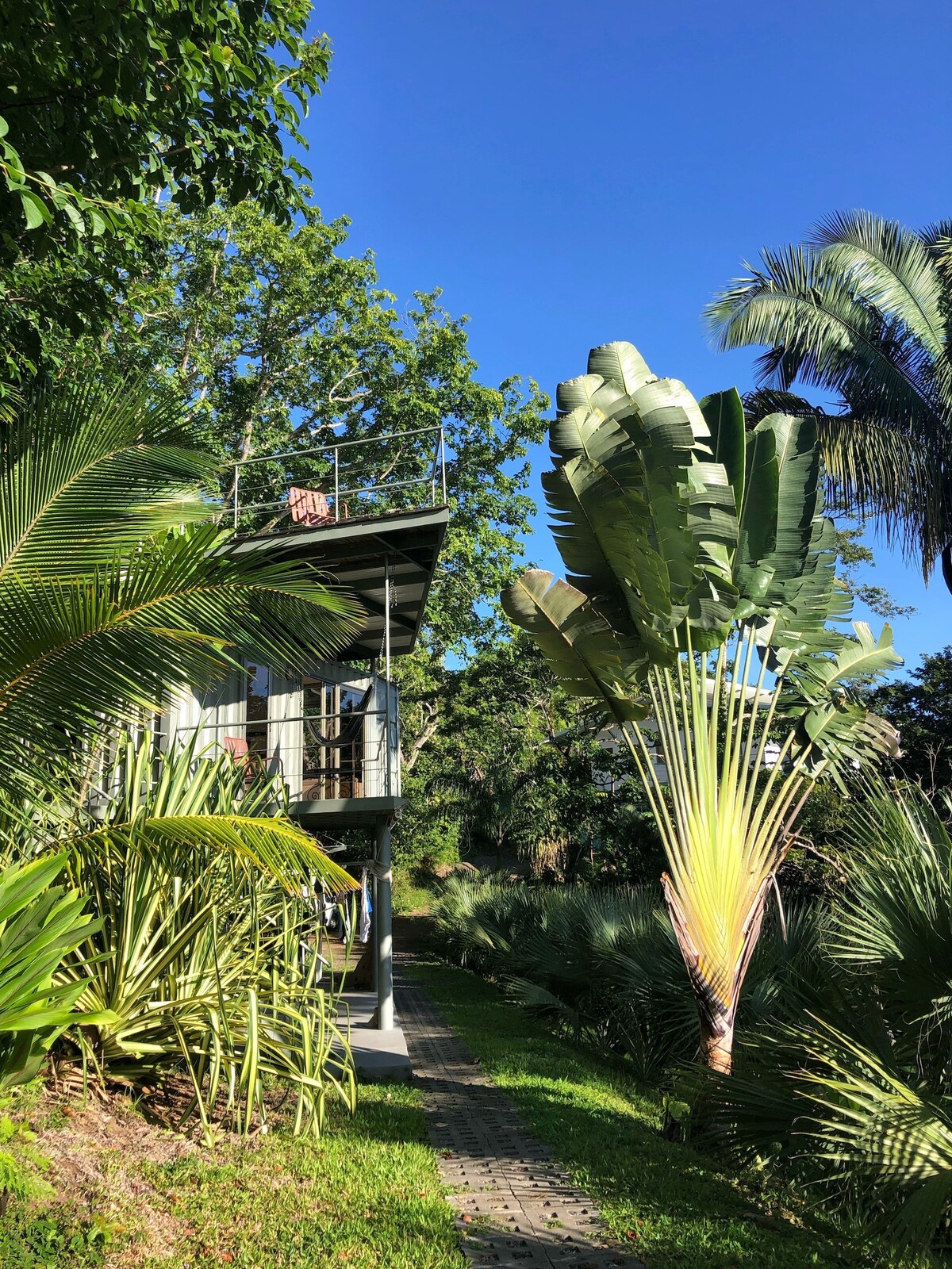 The treehouse is positioned among lush greenery, featuring tall palm and tropical plants. A pathway leads to the entrance, while a spacious porch is visible on the upper level, offering a serene view of the surroundings.