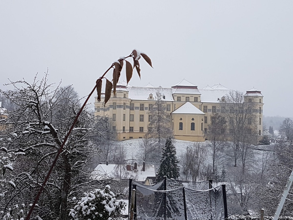 A historic building is seen blanketed in snow, with its yellow façade contrasting the white landscape. Snow-covered trees and a trampoline are visible in the foreground, adding to the serene winter scene. The scene is quiet, suggesting a peaceful atmosphere.