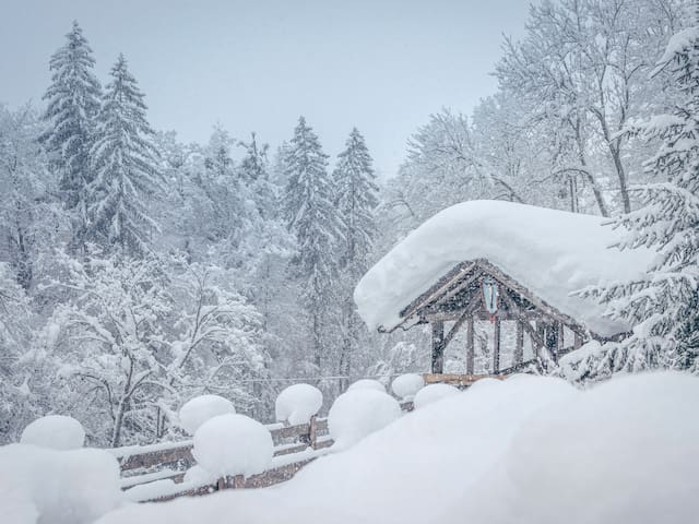 Entire home with 1 bedrooms in Zillertal - Brückenhof Apartment Grinberg