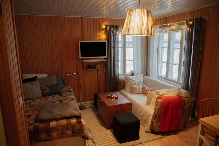 Krevat dopio (120 cm) dhe divan krevat. 