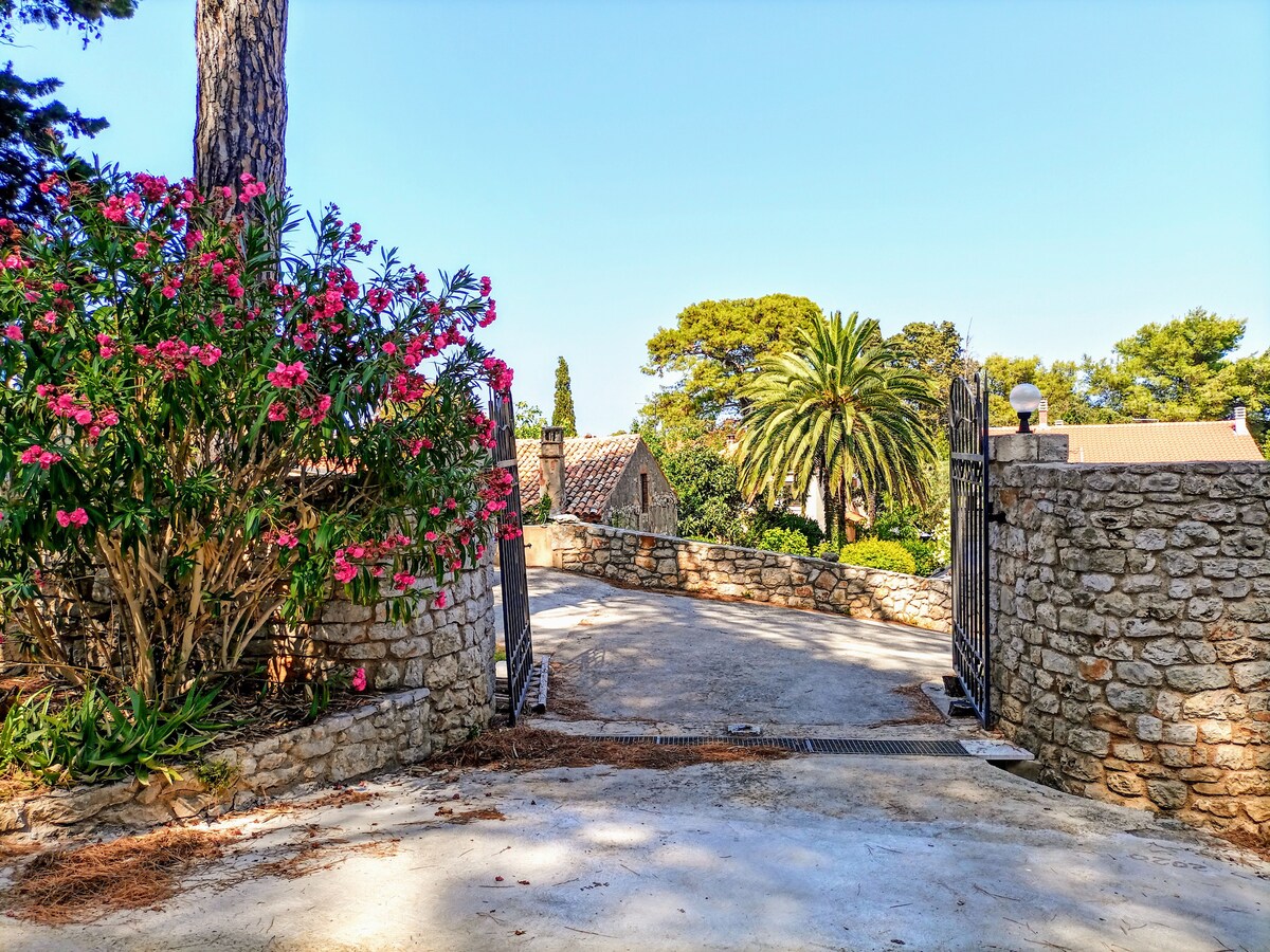 A stone pathway leads through an iron gate, bordered by vibrant flowers and lush greenery. A 50-year-old palm tree is visible in the background, adding to the serene atmosphere of the garden setting.