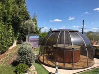 A landscaped outdoor area features a panoramic covered spa surrounded by greenery, offering a serene setting for relaxation. The wooden spa is enclosed in a stylish, dome-like structure, complemented by low, trimmed hedges and carefully arranged plants, enhancing the tranquil environment.