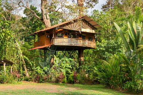 Treehouse with butterfly and exotic fruit farm.