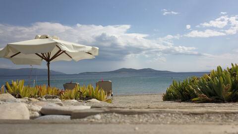 ON THE BEACH LUXURIOUS VILLA