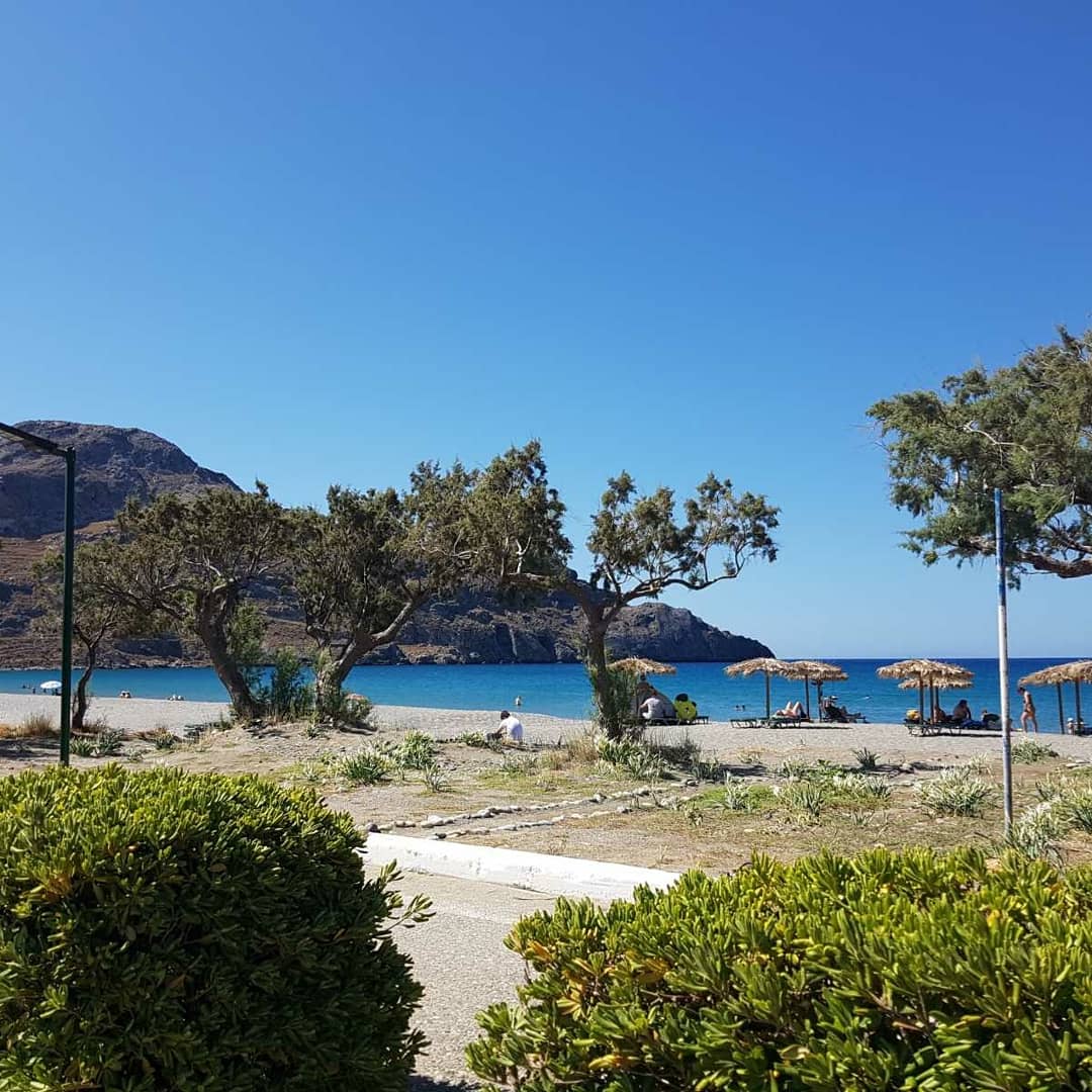 A view of a serene beach features soft sand and clear blue water under a bright sky. Umbrellas provide shade along the shore, while trees frame the scene, enhancing the natural beauty of the area.
