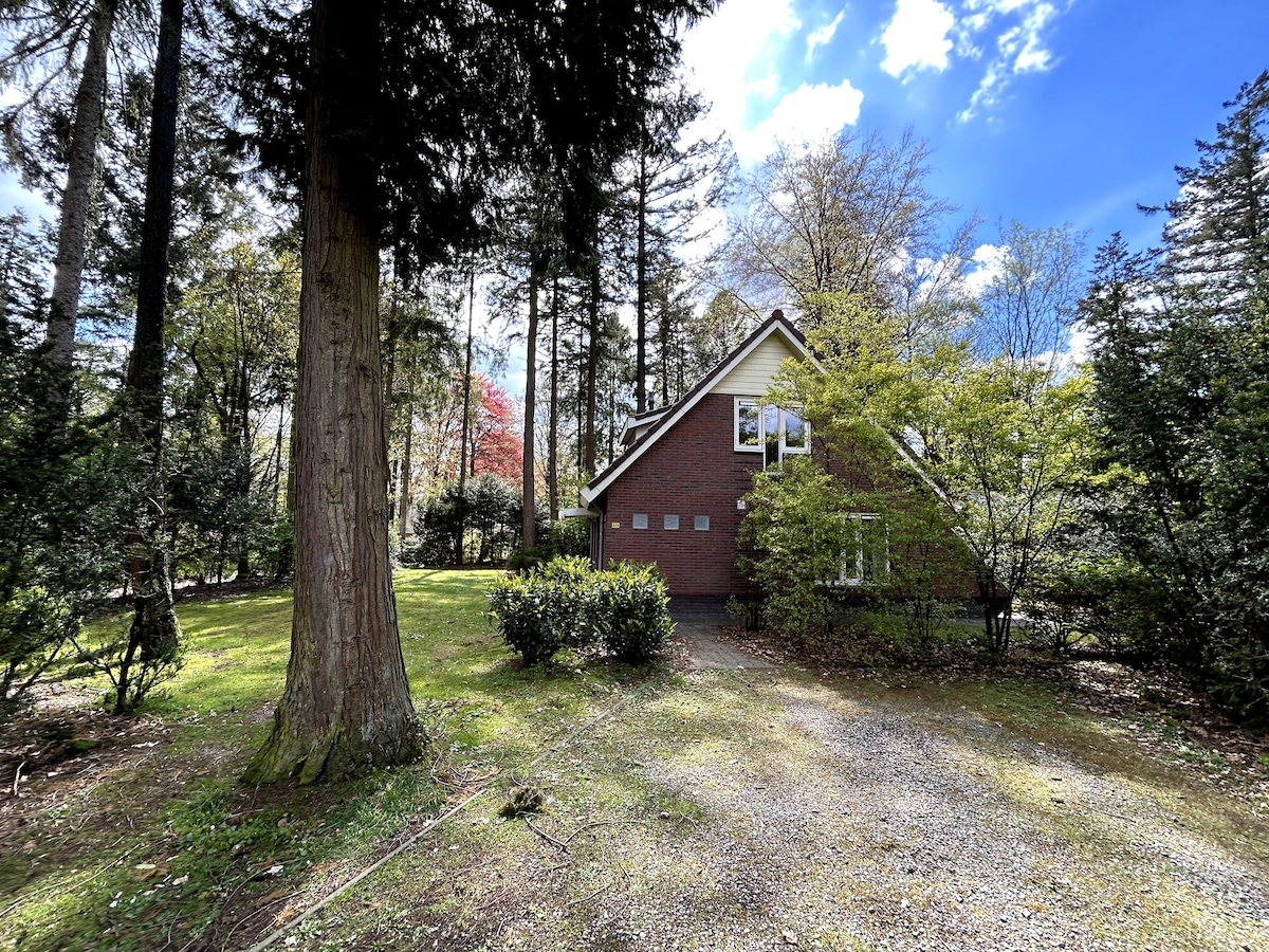 Top performing Airbnb: Cozy detached house (H9) in Wijk 57 Garderen