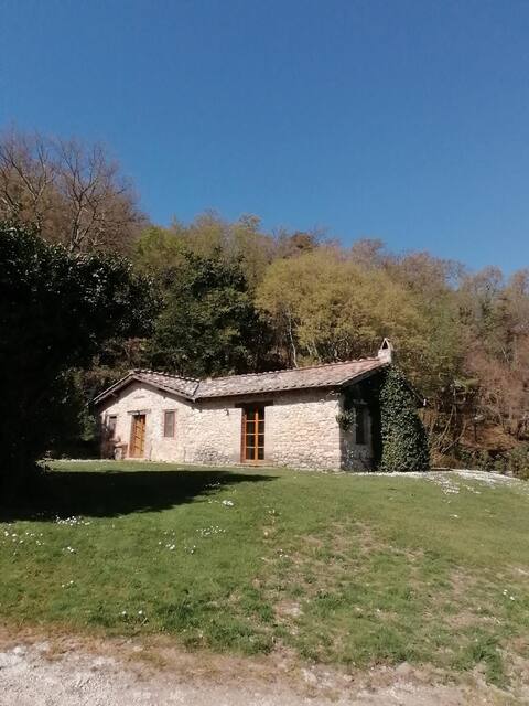 La Porcilaia with Private Lake - Amelia - Umbria