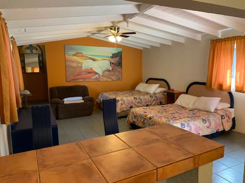 Garden view unit at Rincon Tropical Resort #12