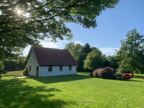 Quiet & cheerful 2 Floor house