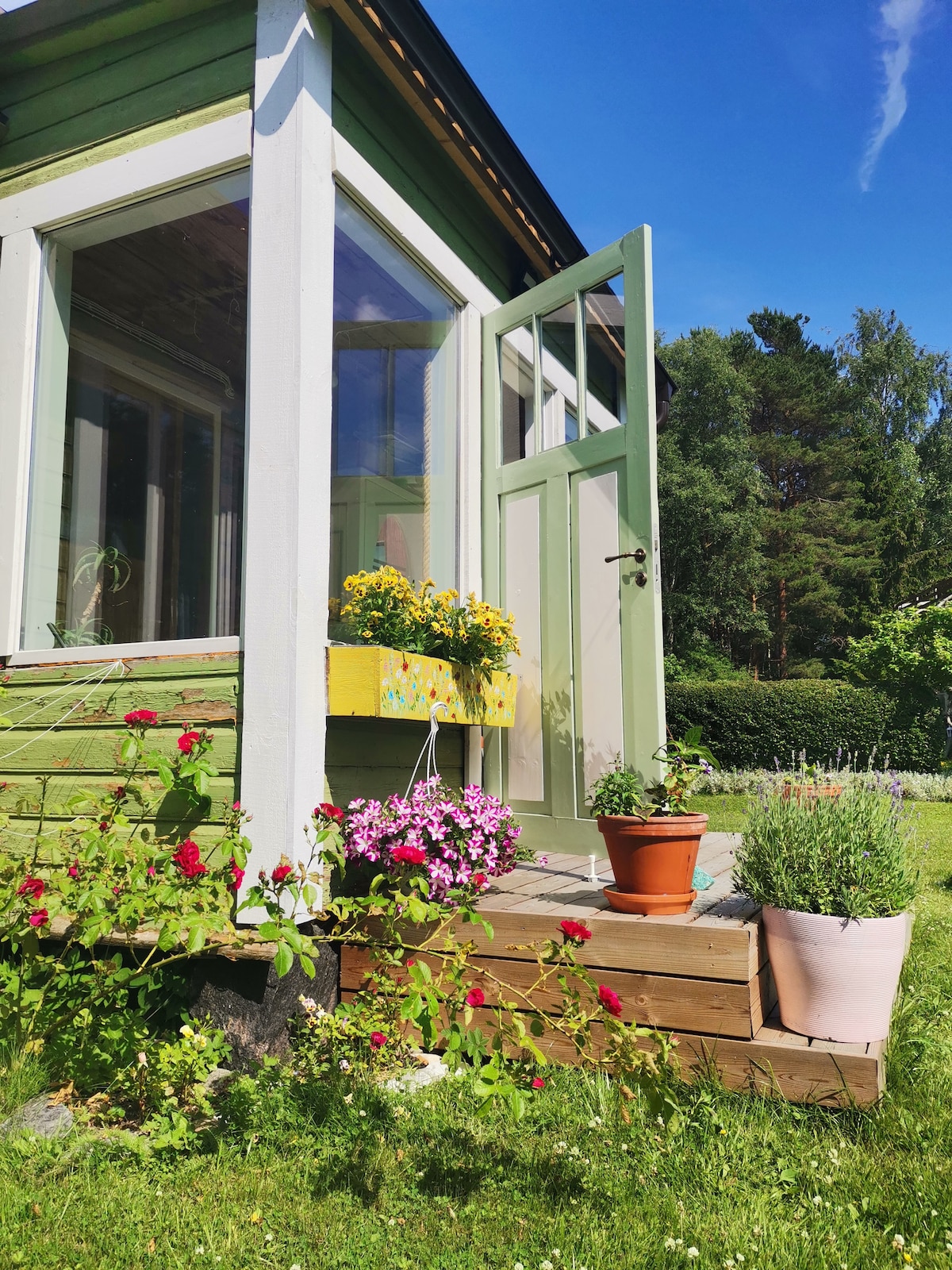The entrance to a charming green cottage is framed by large windows and a light green door. Flower boxes with vibrant yellow and pink blooms enhance the steps, which lead to a grassy area dotted with potted plants and cheerful shrubs.