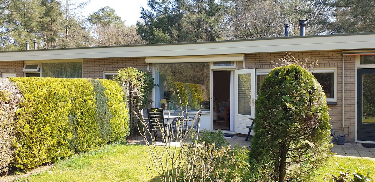 A vacation home is presented, showcasing a brick exterior bordered by well-maintained hedges and trees. Glass doors provide natural light to the interior, while a stone patio is visible, furnished with outdoor seating for relaxation. The setting is surrounded by greenery in a peaceful environment.