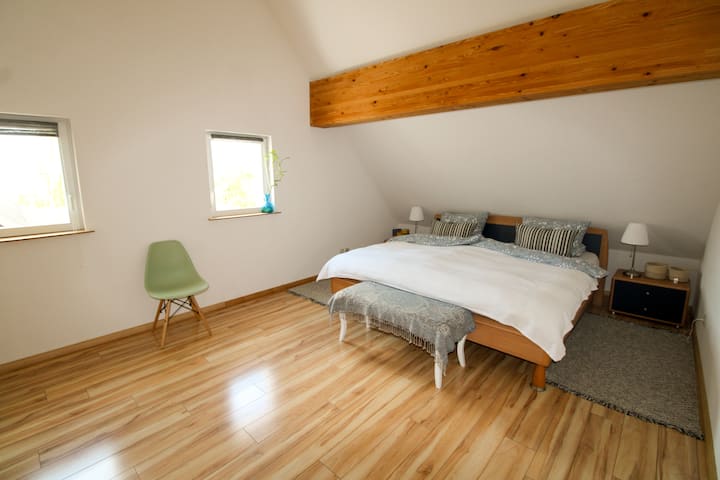 1st floor master bedroom with walk-in closet