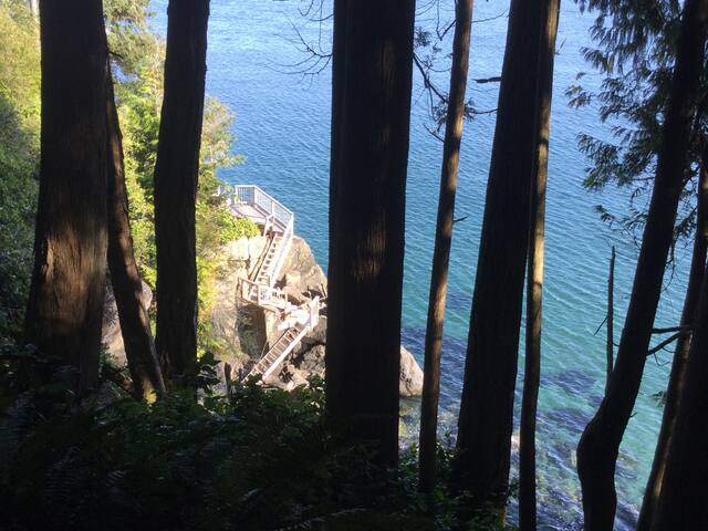 Luxury oceanfront, 4 bed/4 bath, private hottub gallery image 2