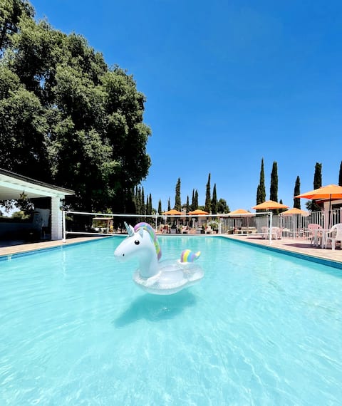 A Beautiful Spacious home with a private pool