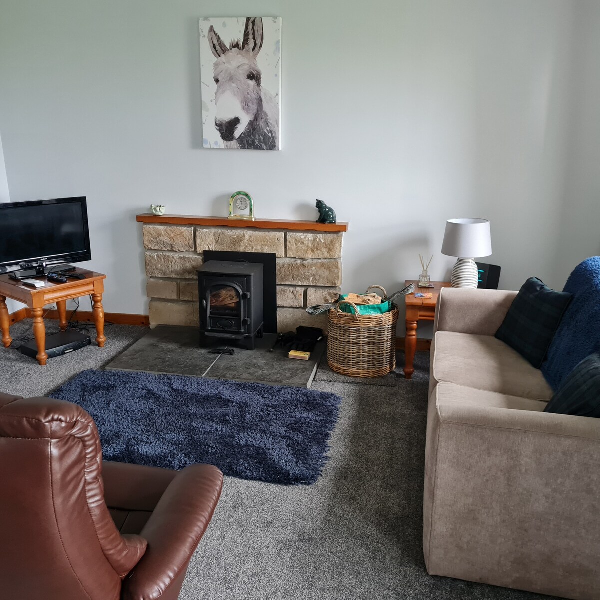 The living area features a stone fireplace with a wood-burning stove, accompanied by a light brown couch and an armchair. A small wooden table sits beside a woven basket, and a television is positioned across from the seating. A framed image of a donkey is displayed on the wall.