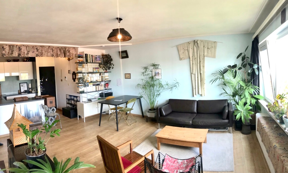 A spacious living area is filled with natural light, featuring a dark leather sofa, wooden coffee table, and various indoor plants. A transparent dining table is positioned near the kitchen, complemented by a shelf displaying books and decorative items.