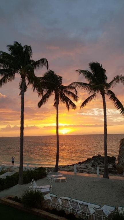 Tall palm trees frame a breathtaking sunset over the ocean, with hues of orange and yellow reflecting on the water. A sandy beach area is visible, along with white lounge chairs inviting relaxation by the shore.