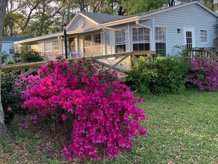 Micanopy Vacation Rentals & Homes Florida, United States Airbnb