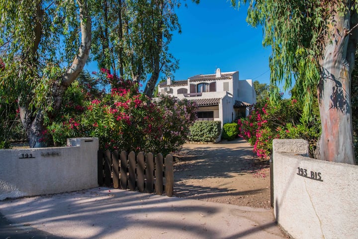 Villa Les Pieds Dans L'eau Sud Corse San Cipriano - Zonza