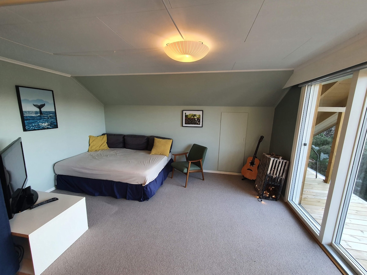 صالة تلفزيون بسرير كونتيننتال مزدوج. الحماية من منطقة مدخل الستائر.