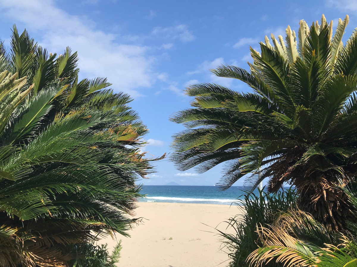 Two palm trees frame a serene beach view, with soft sand leading to gentle waves lapping against the shore. The sky is expansive with a few wispy clouds, allowing ample sunlight to brighten the coastal scene.