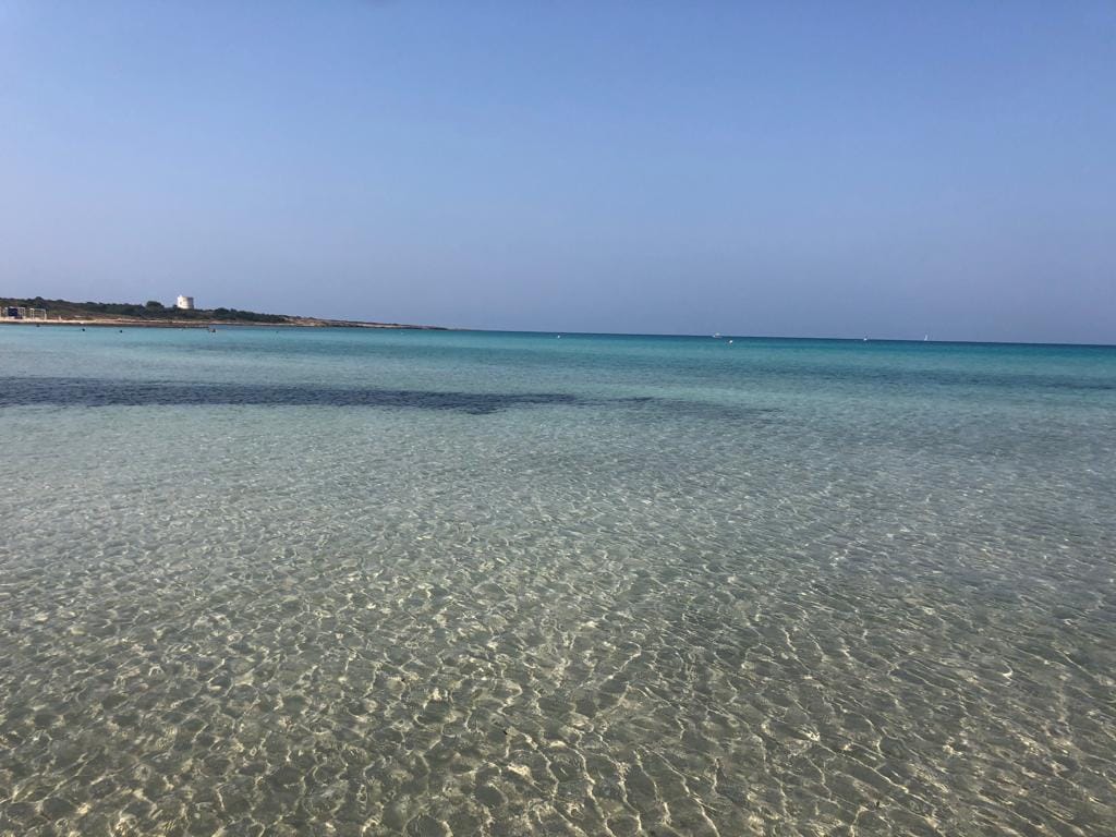 A clear and calm sea is visible, featuring gentle waves that create a pattern on the water's surface. The horizon blends seamlessly with the sky, offering hues of blue. The shoreline appears distant, emphasizing the tranquility and spaciousness of the surrounding area.