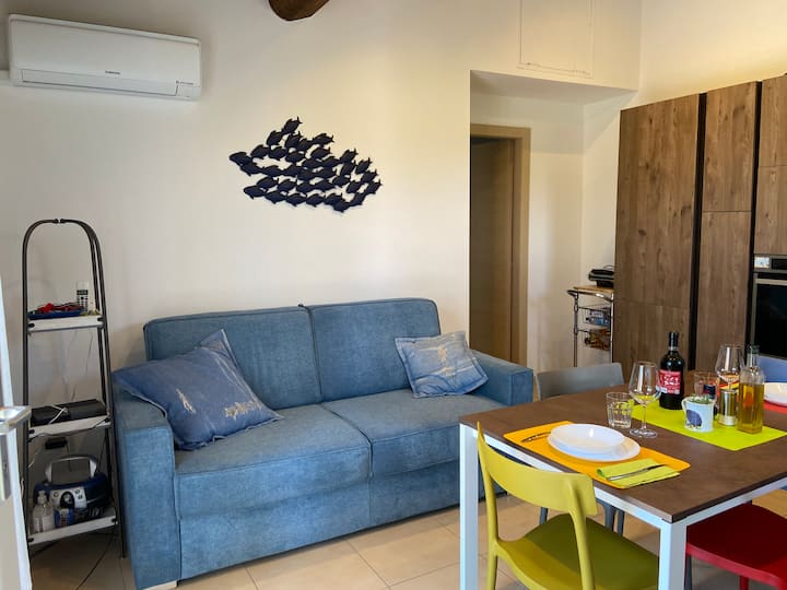 Convenience And Comfort - Cecina