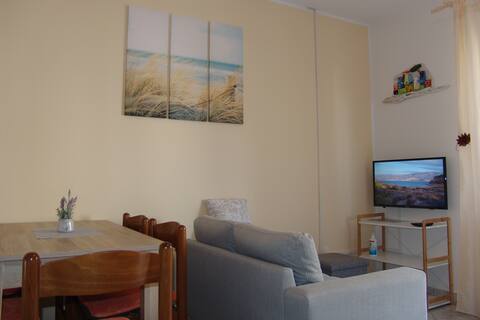Spacious apartment with big garden