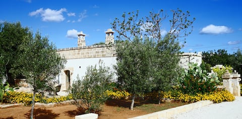 Proprietà Airbnb di successo: Villa Torretta San Martino, a villa a Fasano