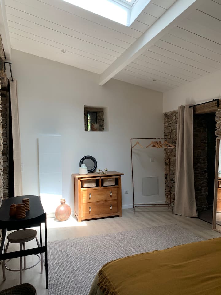 Habitación 1