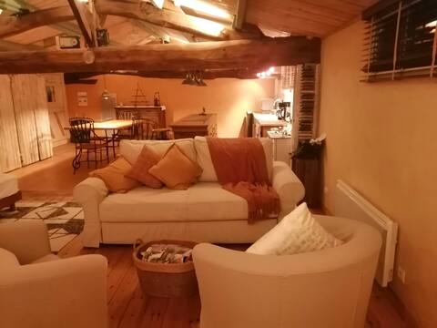 Le Grenier du Vigneron - Loft surrounded by vineyards