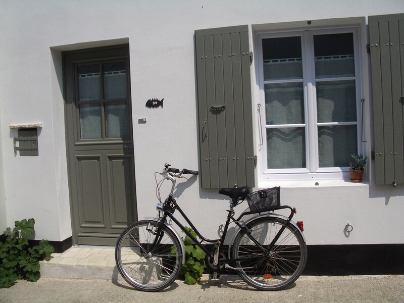 A black bicycle is parked next to a charming white house with gray shutters. The front door is wooden with a muted green hue, and the nearby window features light curtains and a small plant on the sill. Green foliage is visible at the base.