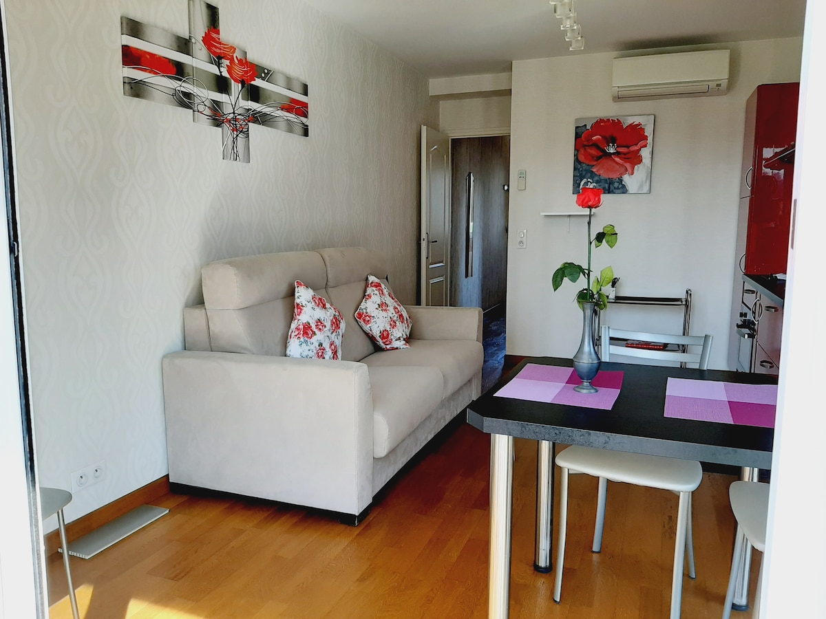 Successful Airbnb property: BEAUTIFUL 2 Rooms VERY BRIGHT SUNNY 100 m SEA in Cagnes Sur Mer