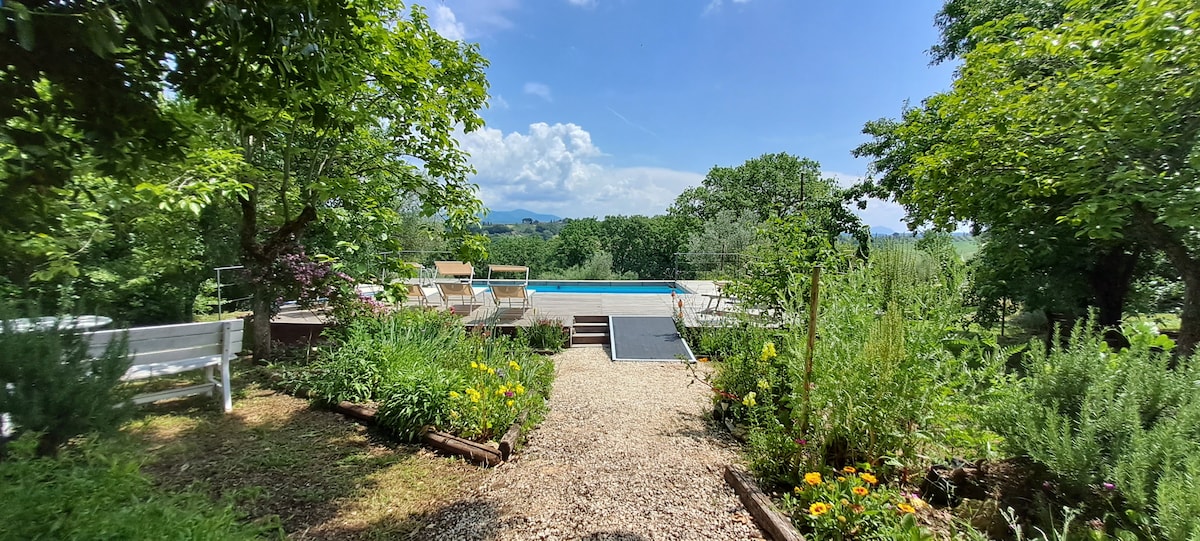 A pathway lined with flowers leads to a tranquil pool area, framed by trees and greenery. A few lounge chairs are placed near the pool, inviting relaxation under the blue sky. Lush gardens enhance the natural setting, creating a peaceful outdoor atmosphere.