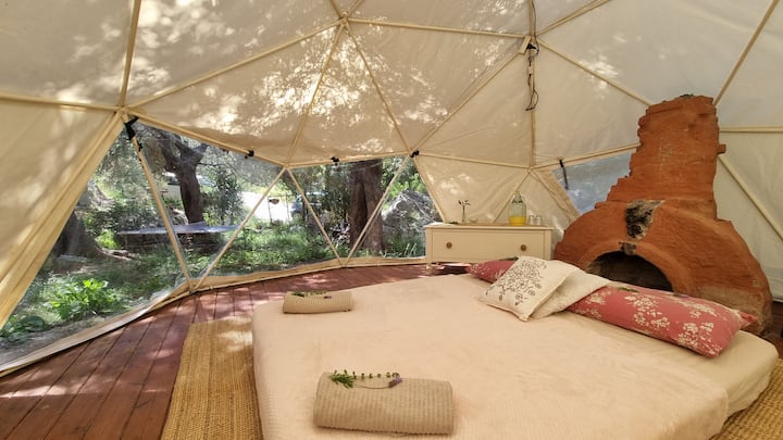 The dome Daphne offers a unique way to experience life in nature