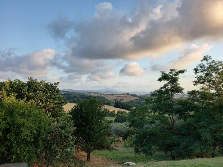 Apartment With Pool, View - Farmhouse In Maremma - Manciano