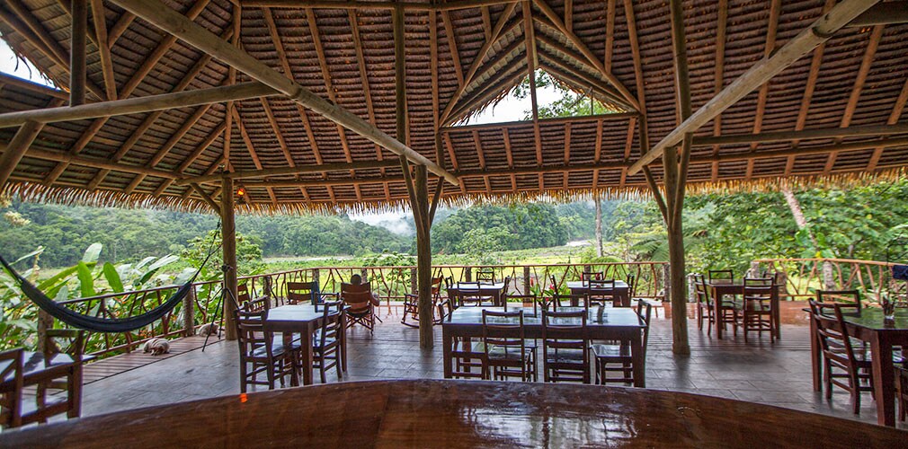 An open-air dining area is showcased, featuring wooden tables and chairs arranged throughout. A thatched roof provides cover, while large openings invite natural light and the scenic landscape of the surrounding tropical forest is visible. A hammock is positioned for relaxation.