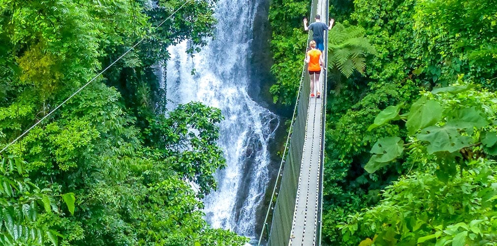 A suspension bridge stretches over a flowing waterfall, surrounded by lush greenery. Two individuals are seen walking along the bridge, framed by dense tropical foliage. The water cascades below, adding a dynamic element to the serene forest setting.