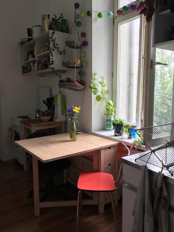 Bright and quiet apartment next to Augarten Flats for Rent in Vienna, Wien, Austria Airbnb