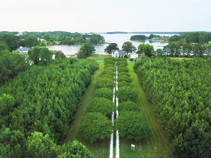 Onancock Vacation Rentals Airbnb